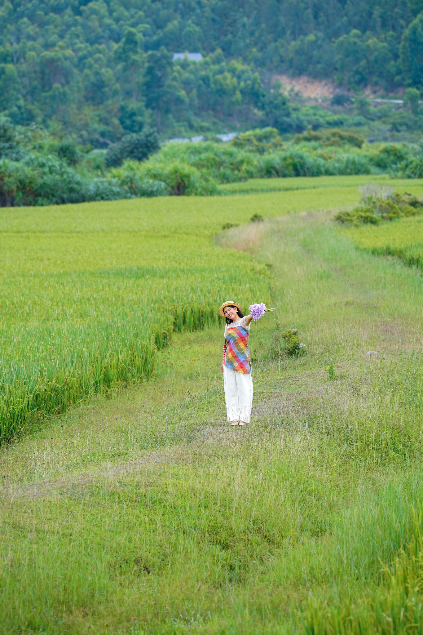 Tới hòn đảo bí ẩn tại Quảng Ninh, khách Hà Nội muốn đưa con ra nghỉ hè 1 tuần 13 Trên đảo không chỉ có biển còn có những cánh đồng đẹp mắt