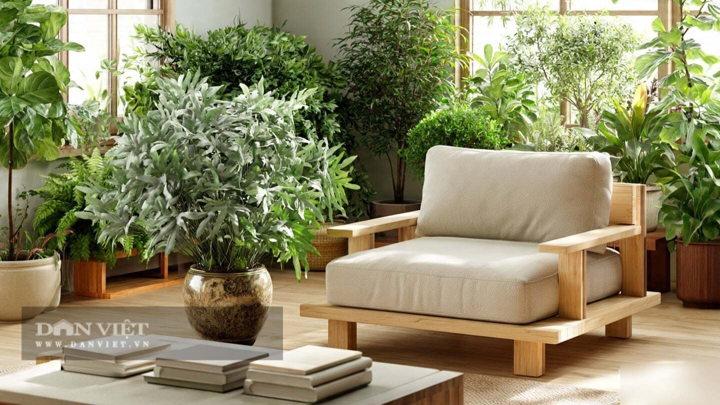 Vẻ đẹp của cây cảnh này là vẻ đẹp cần thời gian chiêm nghiệm