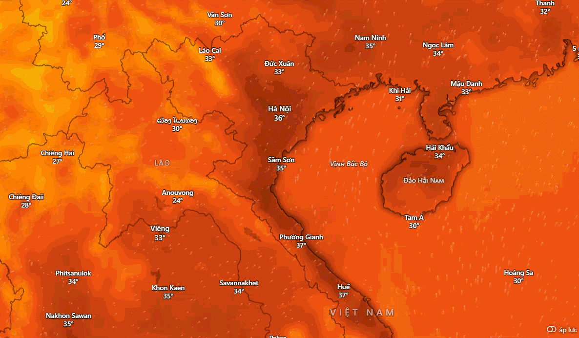 Dự báo nhiệt độ tại một số tỉnh, thành phố. Ảnh: Windy