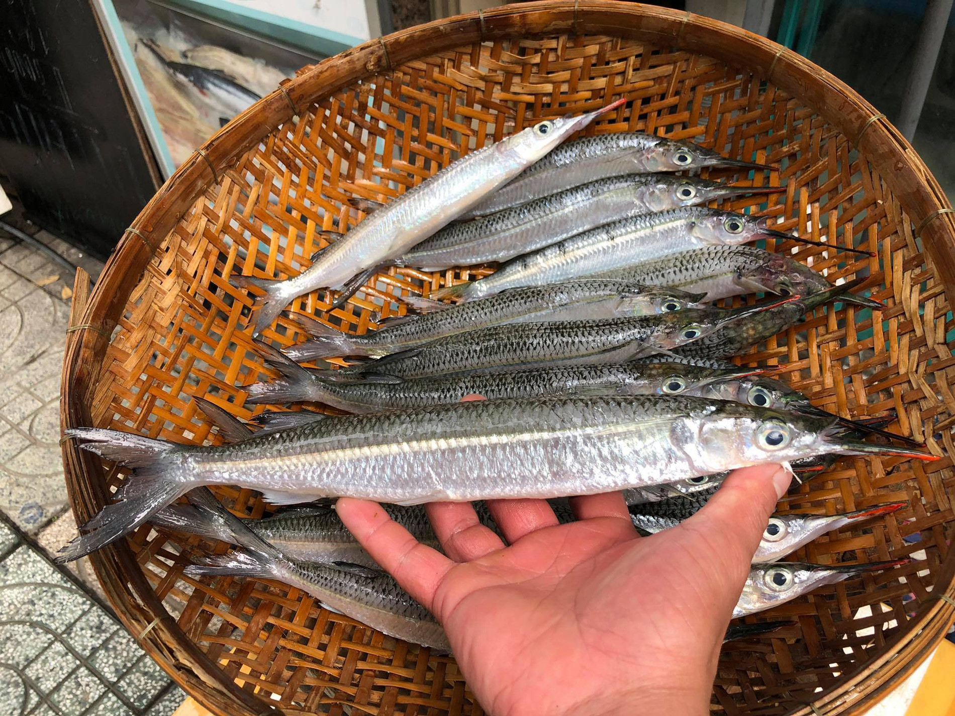 Ở Việt Nam, cá dẫu xuất hiện nhiều ở miền Trung, phổ biến nhất là khu vực biển tỉnh Bình Thuận cũ. Ảnh: Hải sản Gành Cá