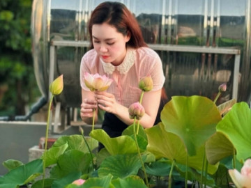 Nhà đẹp - Cõng bùn lên sân thượng, 9X Quảng Ninh biến mái nhà thành vườn sen thơm ngát