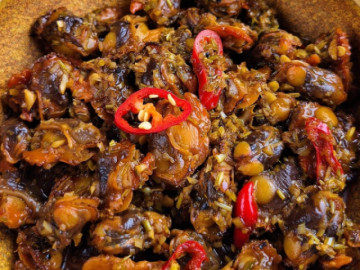 Loại hải sản bên ngoài xù xì, bên trong thịt ngon dai, đem nướng, xào hay kho đều thơm ngon hấp dẫn