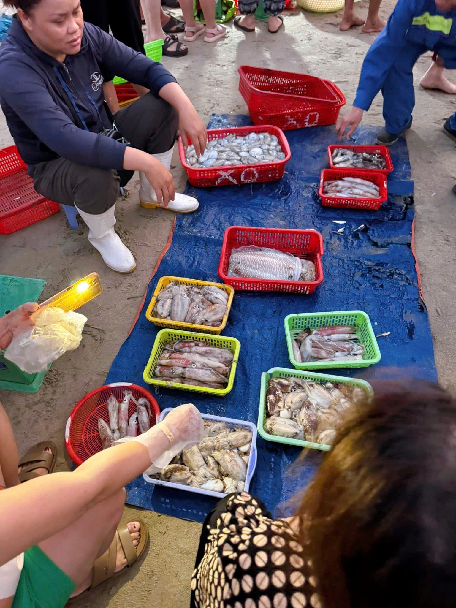 Hải sản tươi rói, đa dạng các loại được tiểu thương bày biện sẵn ra rổ, khay