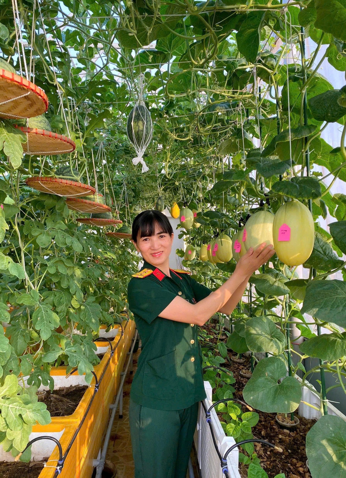 Vườn sân thượng giải nhiệt của nữ trung tá Hà Nội - 10