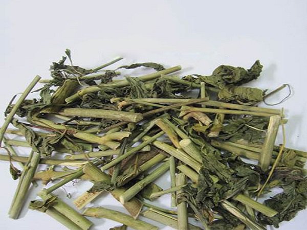 Cây xương khỉ khô.