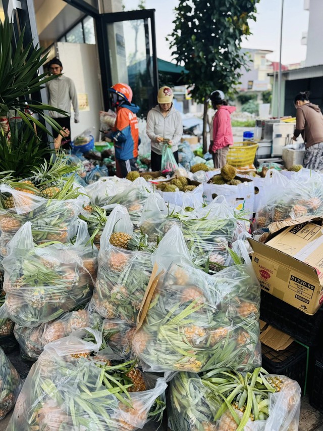 Tùy thuộc vào kích thước và chất lượng dứa sẽ có giá bán khác nhau.