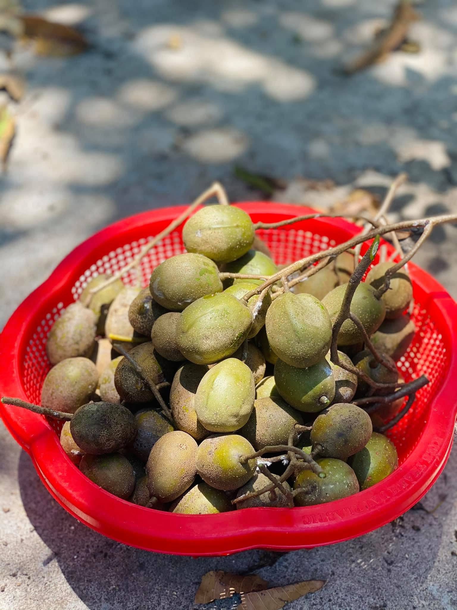 Hàm lượng vitamin C trong loại quả này không hề thua kém cam, chanh.