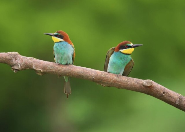 Phụ nữ sinh giờ Mão Âm lịch còn có khả năng tạo thiện cảm với mọi người. Ảnh minh họa