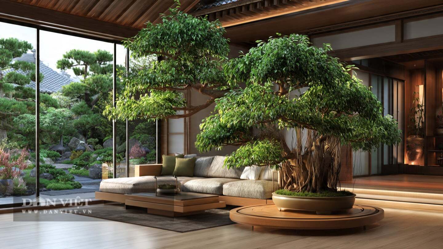 Khi cây cảnh lên lão, từng cành, từng rễ đều mang dáng vẻ của một ẩn sĩ uy nghi.