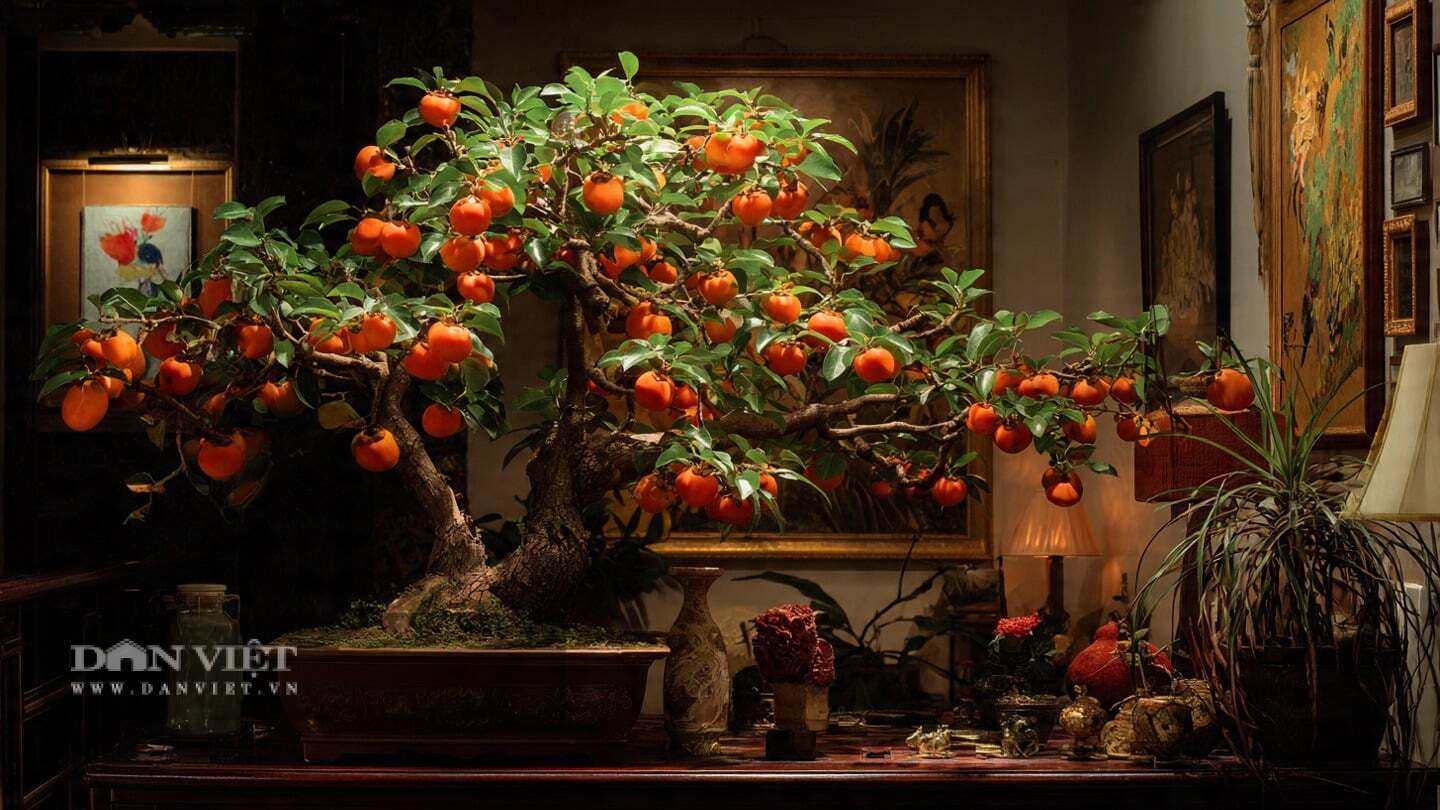 Chăm một cây cảnh bonsai cũng là tu tâm dưỡng tính.