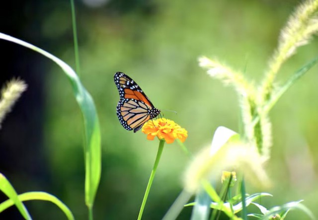 Theo quan niệm tử vi, người sinh giờ Tuất Âm lịch càng chăm chỉ và nỗ lực thì càng mở ra nhiều cơ hội gia tăng tài lộc. Ảnh minh họa