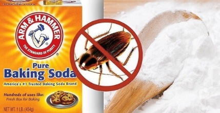 Bạn chỉ cần trộn đều đường và baking soda theo tỷ lệ 1:1 sau đó hoà tan với nước rồi cho vào một cốc nhỏ, đặt ở góc tủ quần áo.