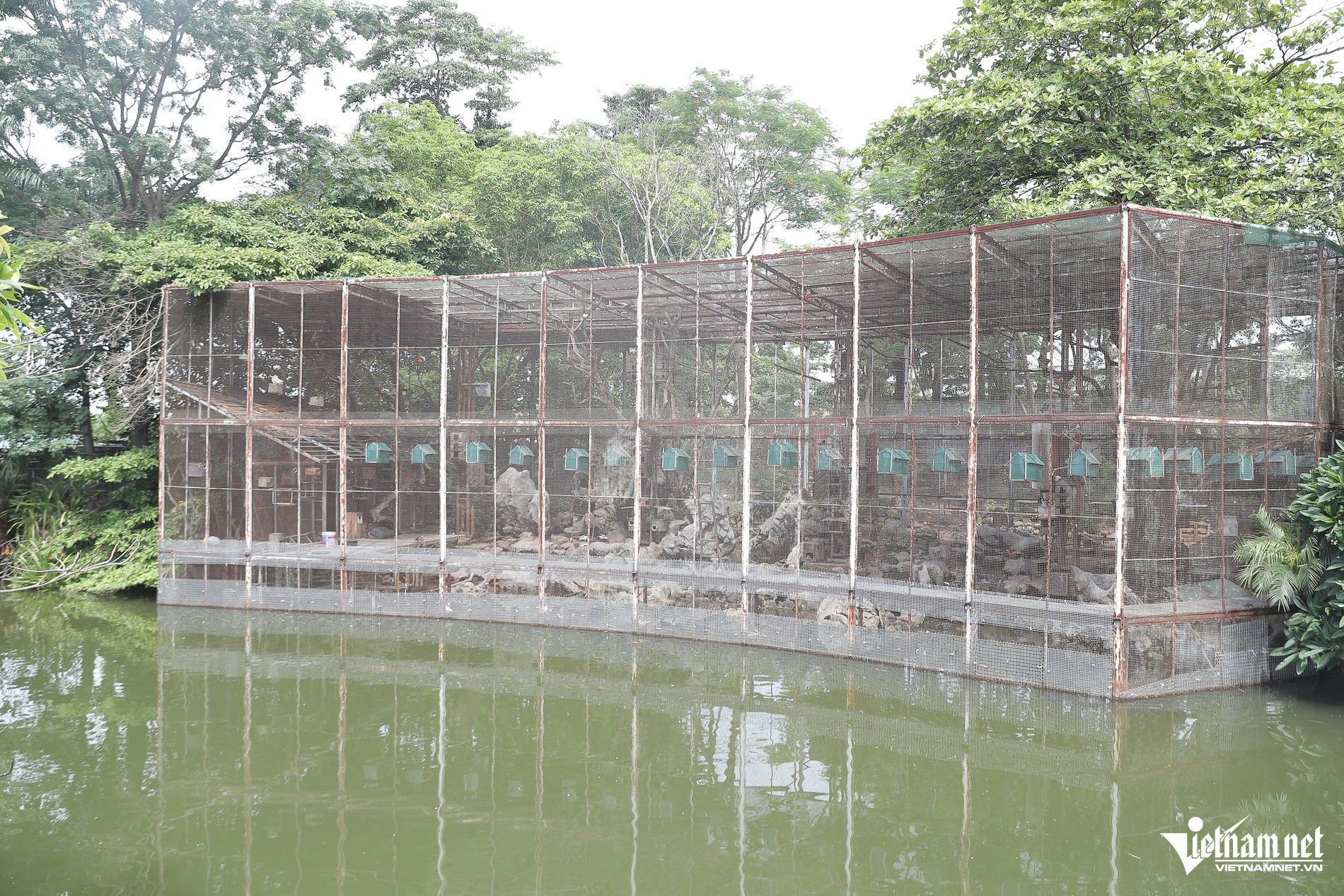 Cận cảnh nhà vườn 25.000m2 có tới 6 giúp việc chăm sóc của Tiến sĩ Khánh Ly - 12