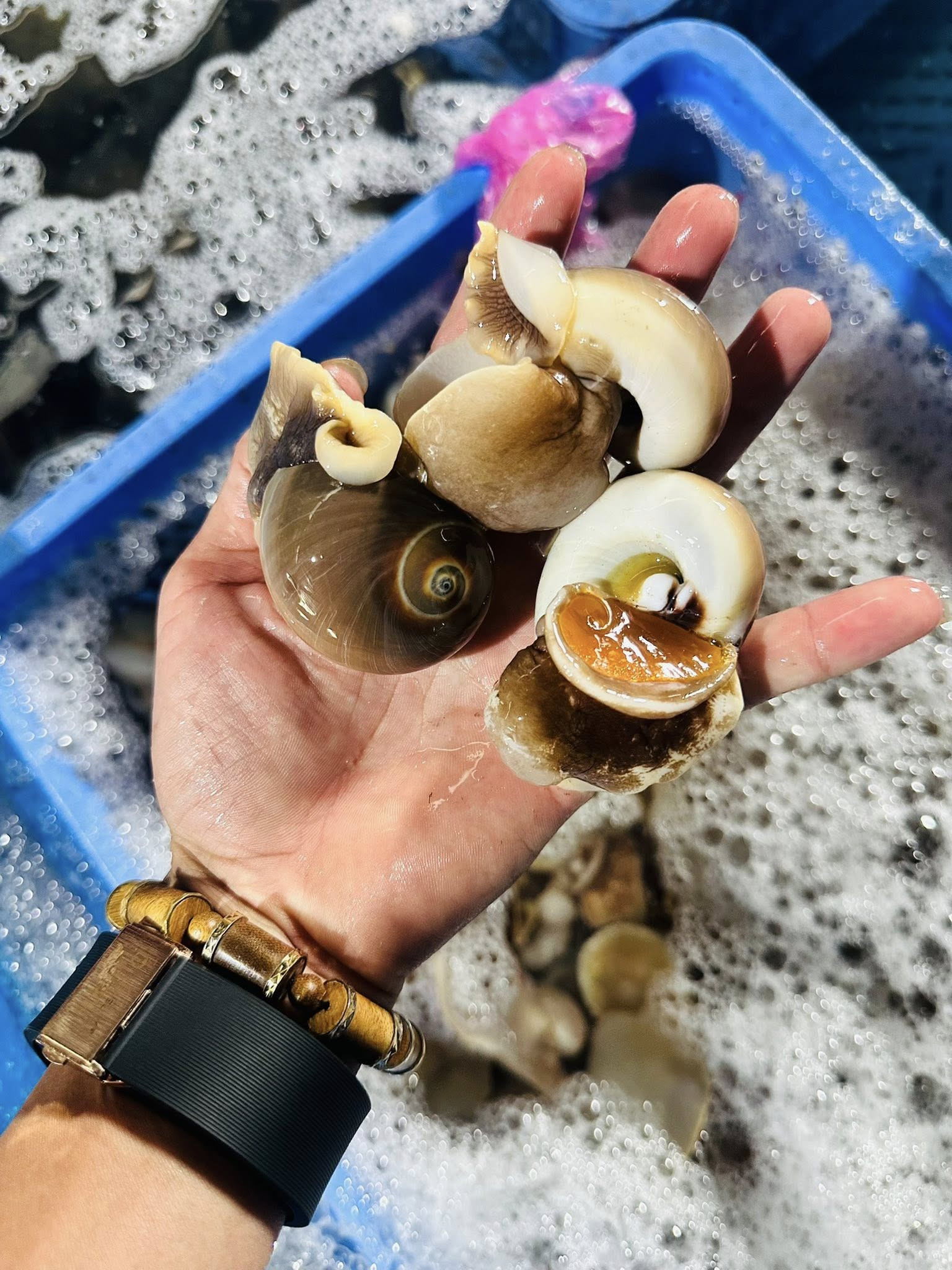 Đặc sản có từ Nam ra Bắc, tên nghe béo ngậy, thịt giòn, bùi như trứng gà - 2