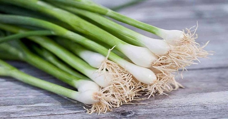 Hành lá xuất hiện gần như mỗi ngày trong bữa ăn của nhiều gia đình Việt. Không chỉ giúp món ăn thơm ngon hơn, hành lá còn thuộc nhóm thực vật họ hành tỏi - nhóm thực phẩm được nhiều nghiên cứu đánh giá cao về lợi ích sức khỏe. Trong hành lá có chứa các hợp chất lưu huỳnh tự nhiên cùng nhiều chất chống oxy hóa. Các nghiên cứu cho thấy nhóm thực phẩm họ hành tỏi có thể góp phần hỗ trợ sức khỏe tim mạch, giúp duy trì huyết áp ổn định và bảo vệ thành mạch. Bên cạnh đó, hành lá còn cung cấp vitamin K, vitamin C và folate - những dưỡng chất quan trọng đối với cơ thể.