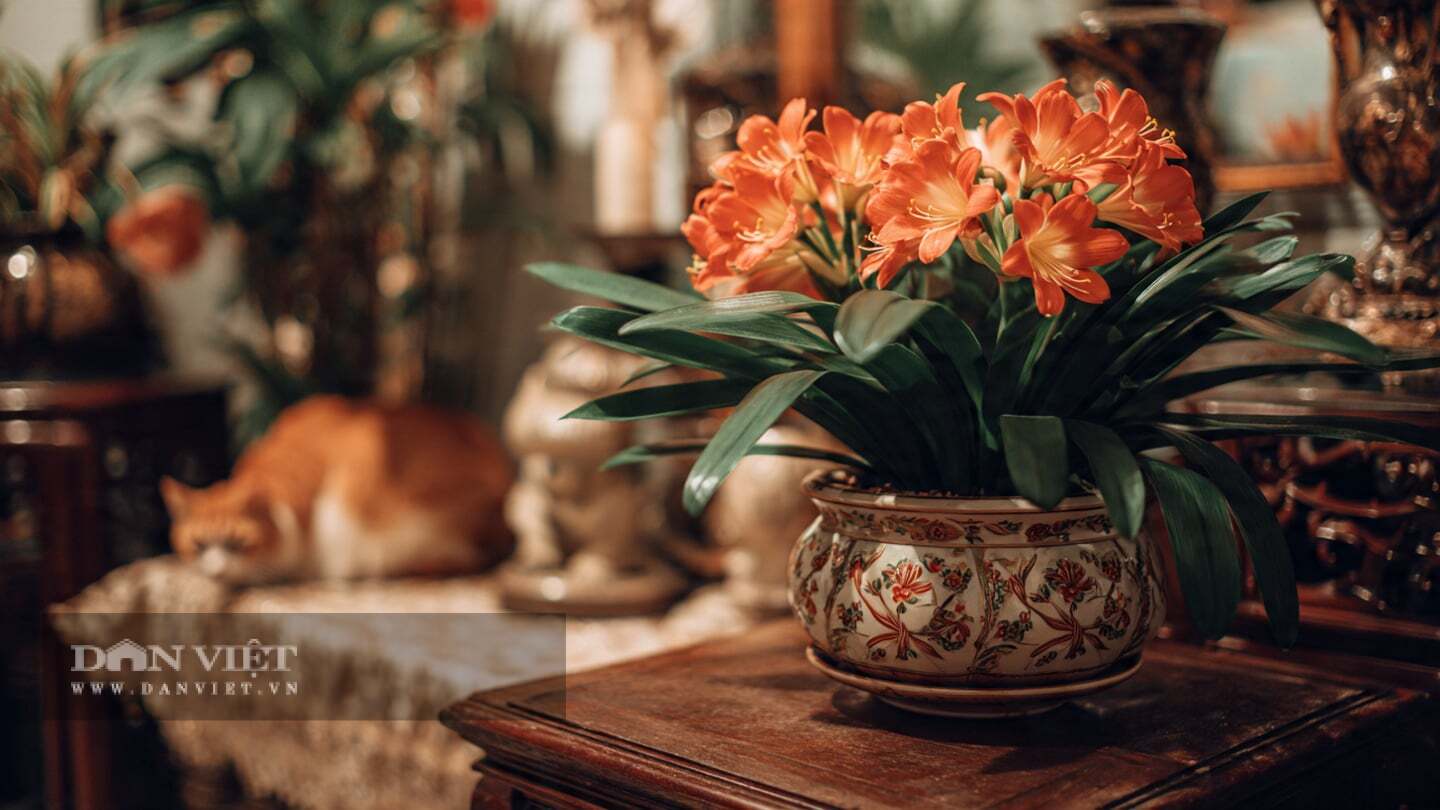Tỉa một chiếc l&aacute; v&agrave;ng, lau một hạt bụi tr&ecirc;n mặt l&aacute;, ấy cũng l&agrave; thiền!