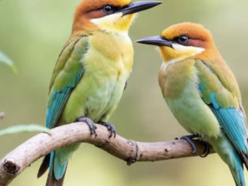 Tháng sinh Âm lịch của người nhanh nhạy, giỏi nắm bắt cơ hội, dễ tạo dựng cuộc sống sung túc