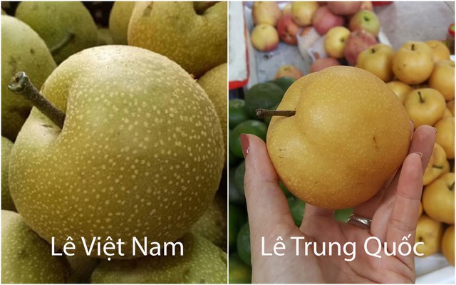 Loại quả amp;#34;tốt nhất thế giớiamp;#34; xưa mọc dại giờ là đặc sản, vào mùa bán đầy chợ Việt giá amp;#34;rẻ như choamp;#34;, trồng một lần thu hoạch cả đời - 3