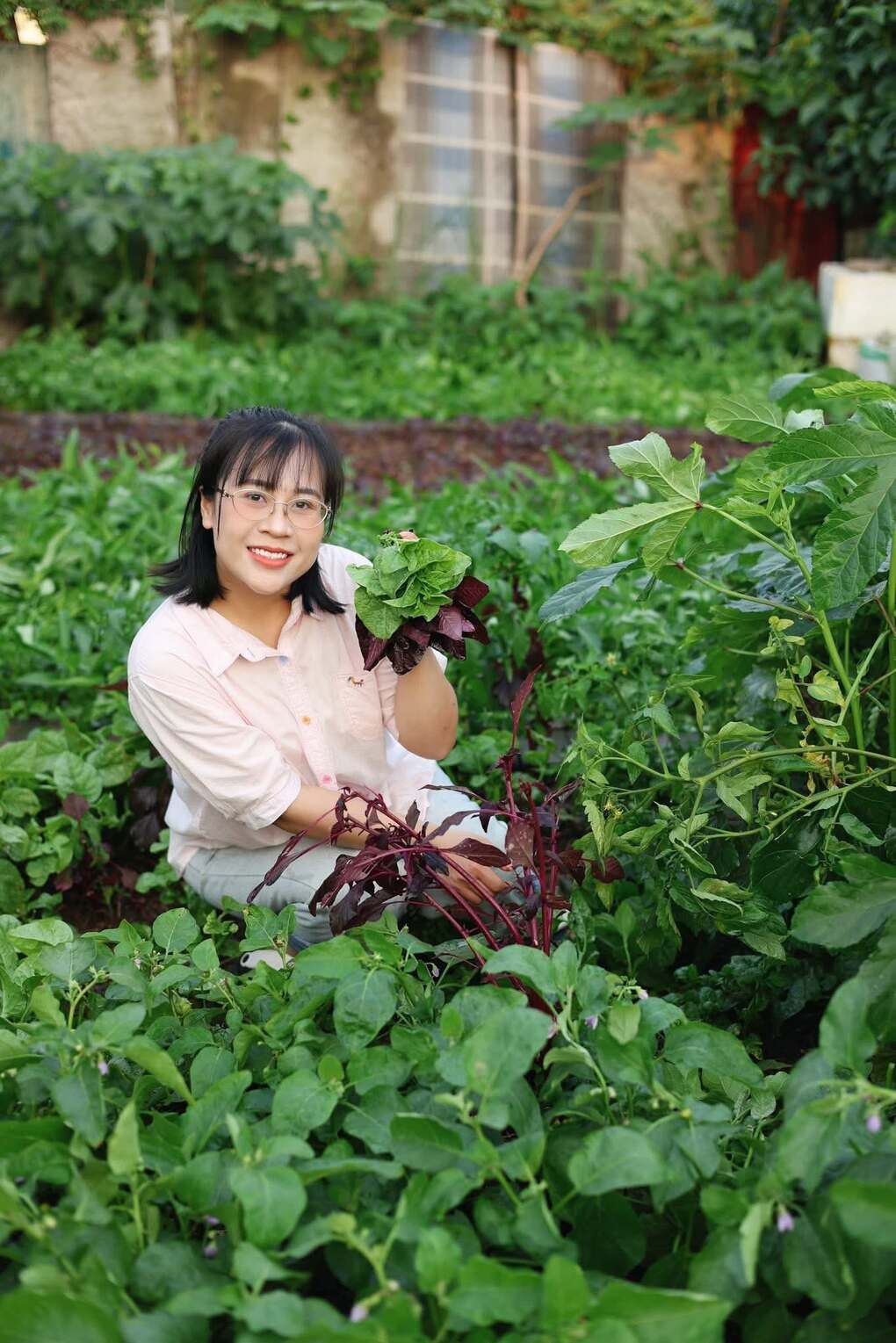9X Hà Nội phủ xanh bãi đất trống, vài ngày lại bó rau tặng hàng xóm - 1