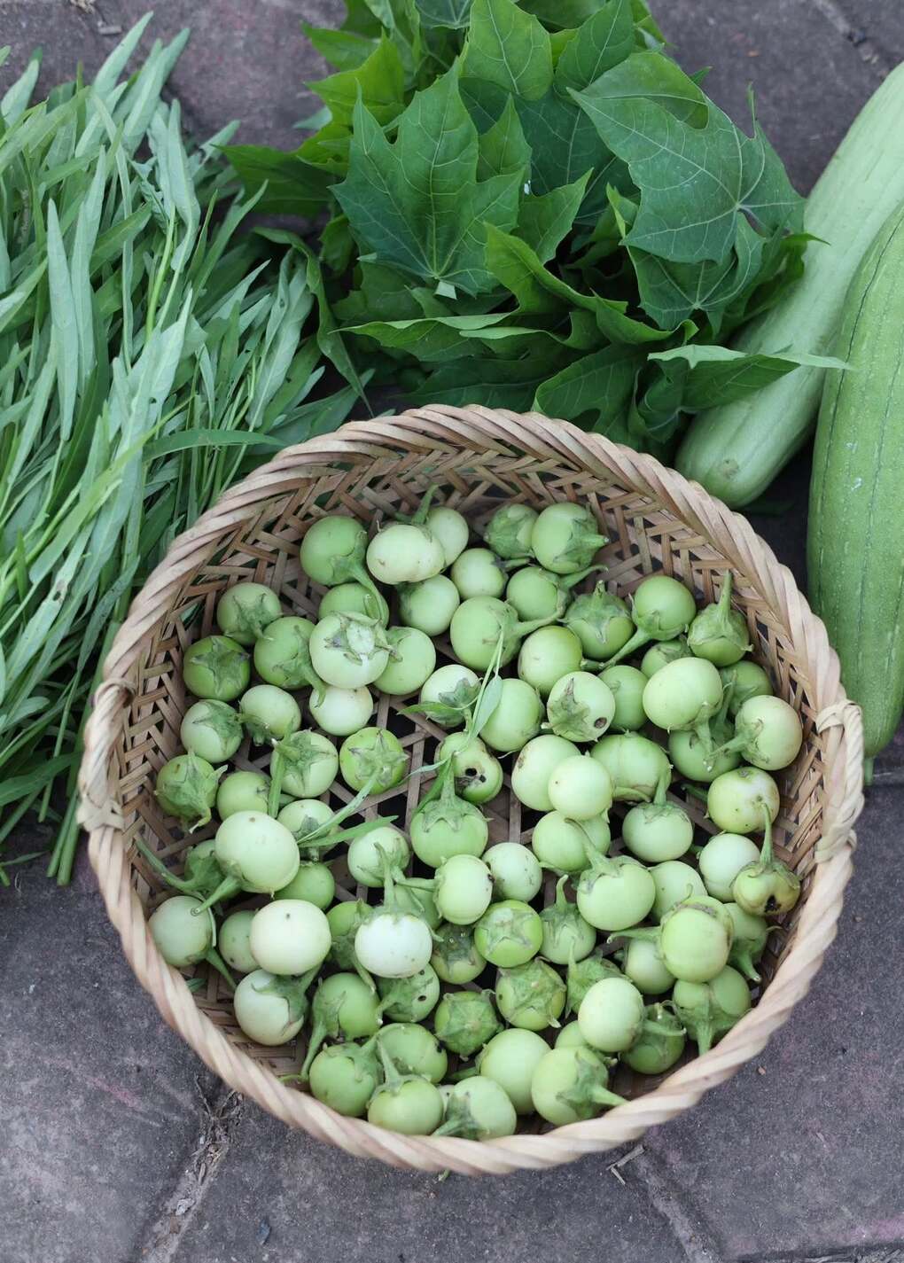 9X Hà Nội phủ xanh bãi đất trống, vài ngày lại bó rau tặng hàng xóm - 6