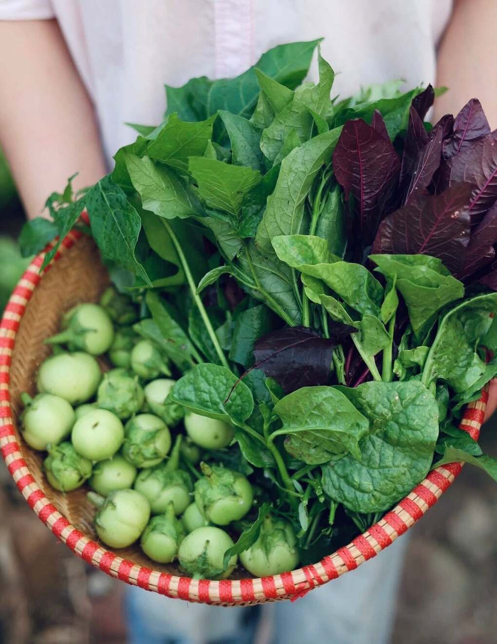 9X Hà Nội phủ xanh bãi đất trống, vài ngày lại bó rau tặng hàng xóm - 10
