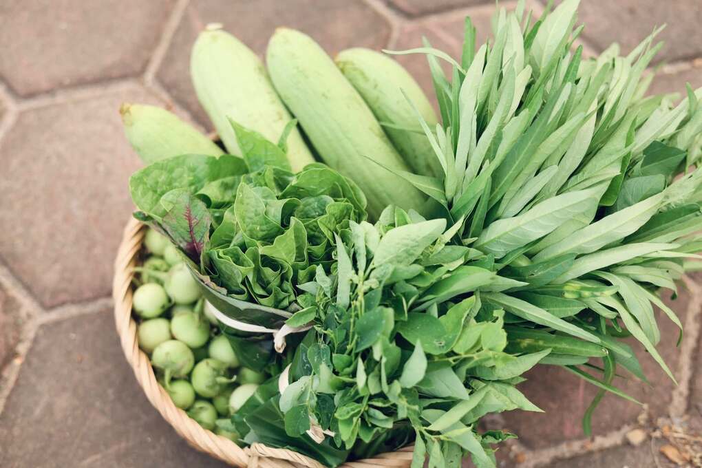 9X Hà Nội phủ xanh bãi đất trống, vài ngày lại bó rau tặng hàng xóm - 12