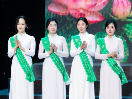 Hoa hậu Văn hóa Việt Nam Toàn cầu 2026 gây chú ý khi chấp nhận thí sinh "dao kéo" 30%