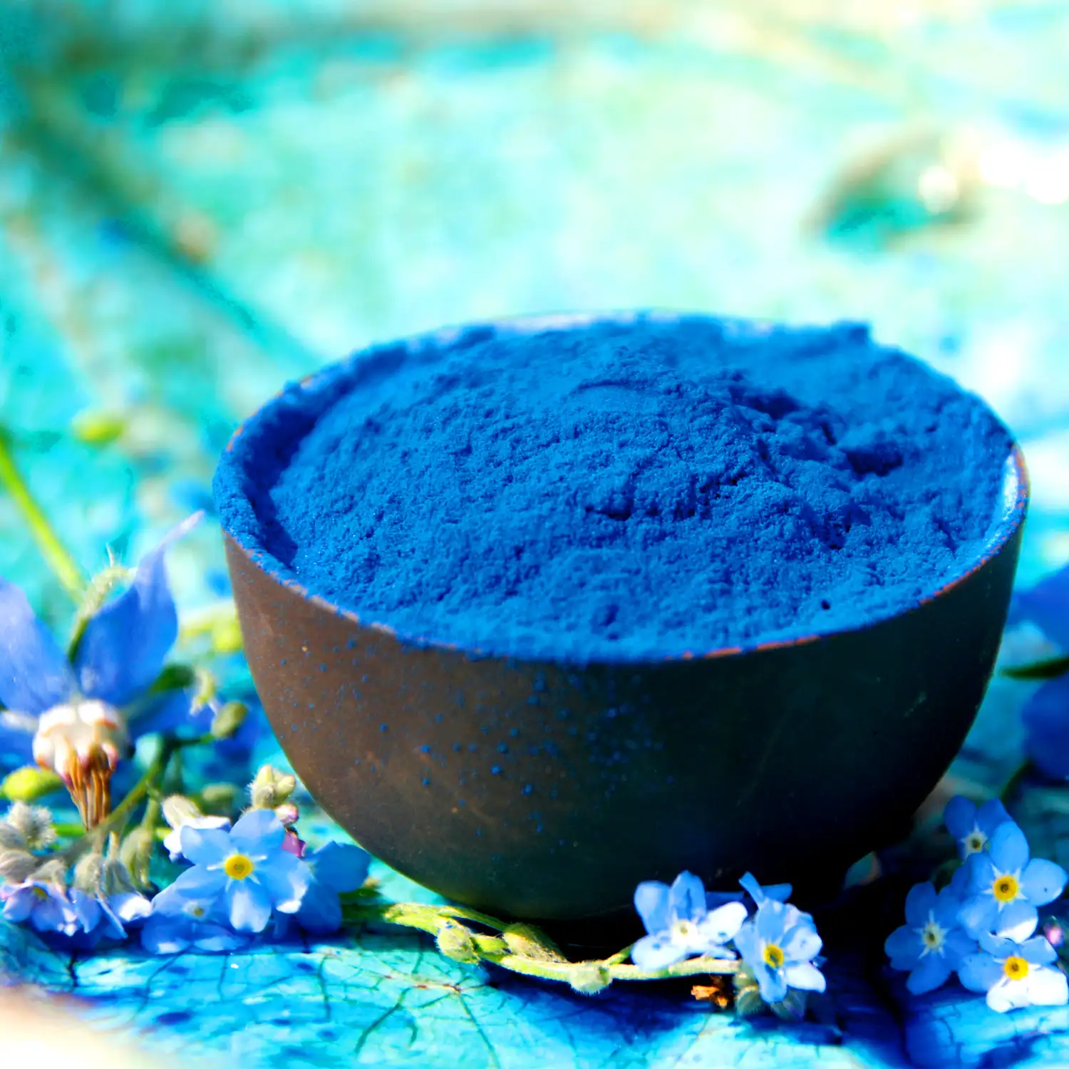 Các dòng Spirulina được xem là “siêu thực phẩm” nhờ mang lại nhiều lợi ích cho làn da và sức khỏe tổng thể