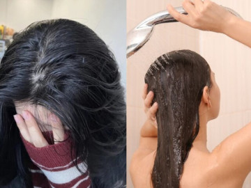 Gội đầu mỗi ngày sao tóc vẫn nhanh bết? 5 thói quen khiến tóc nhanh đổ dầu, đặc biệt cẩn thận với 2 kiểu dầu gội
