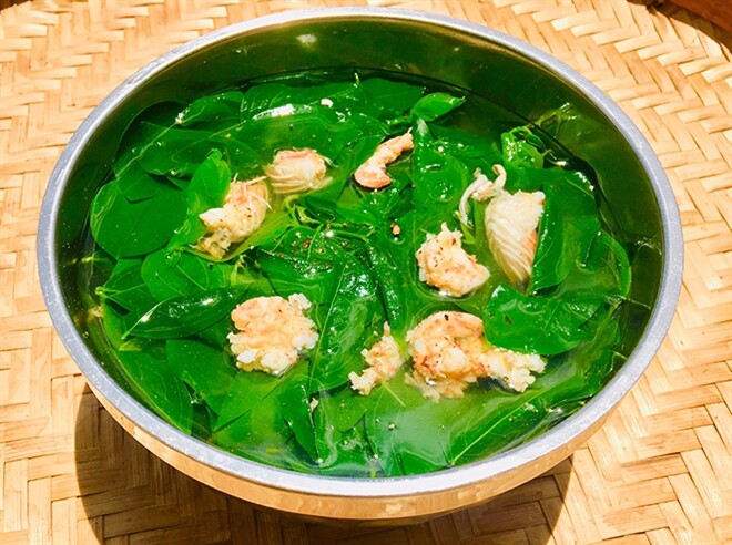 Cây này chỉ ăn lá, vitamin C gấp 45 lần rau thường, nấu canh hay luộc đều rất mát, mùa hè ai cũng thích - 4
