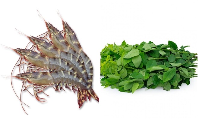 Cây này chỉ ăn lá, vitamin C gấp 45 lần rau thường, nấu canh hay luộc đều rất mát, mùa hè ai cũng thích - 3