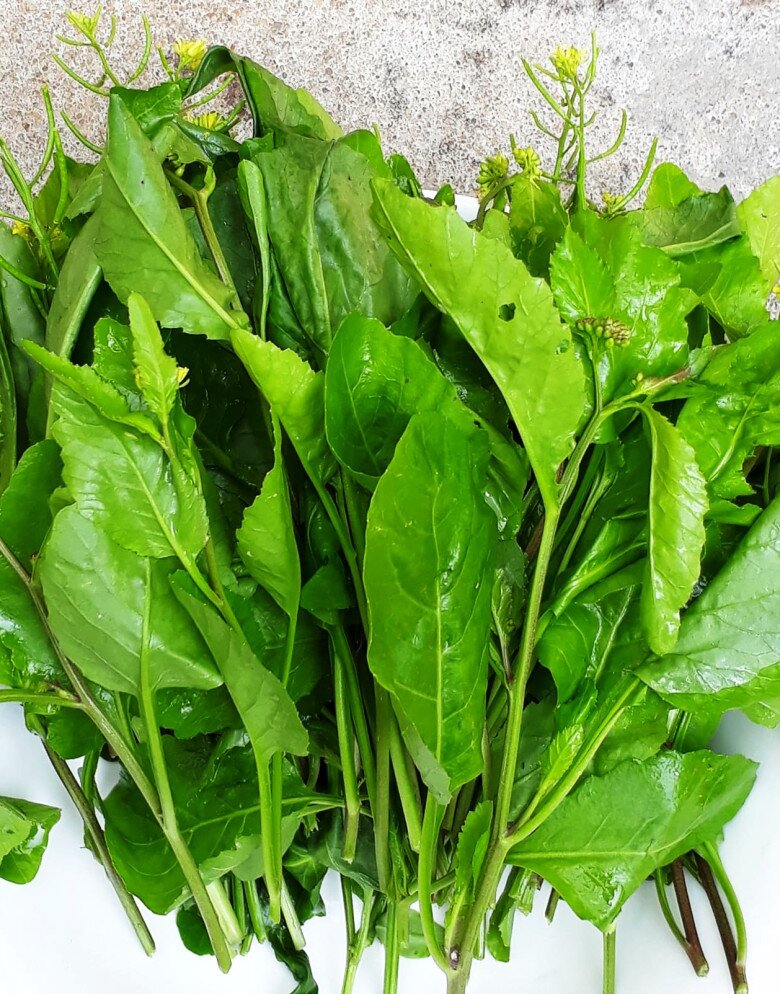 Cây này nghe tên lạnh cả gáy, xưa cho lợn ăn nay thành đặc sản, có tiền chưa chắc đã mua được, xào hay nấu canh đều ngon - 1