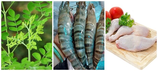 Cây này thường bị nhầm là rau ngót, canxi gấp 4 lần sữa, đem trộn tôm thịt được món thanh mát ngày hè - 2