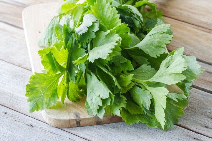 Ít ai biết lá này giàu dinh dưỡng hơn phần thân, đem xào với trứng vừa ngon lại tốt cho sức khỏe, chỉ nấu vài phút là chín - 1