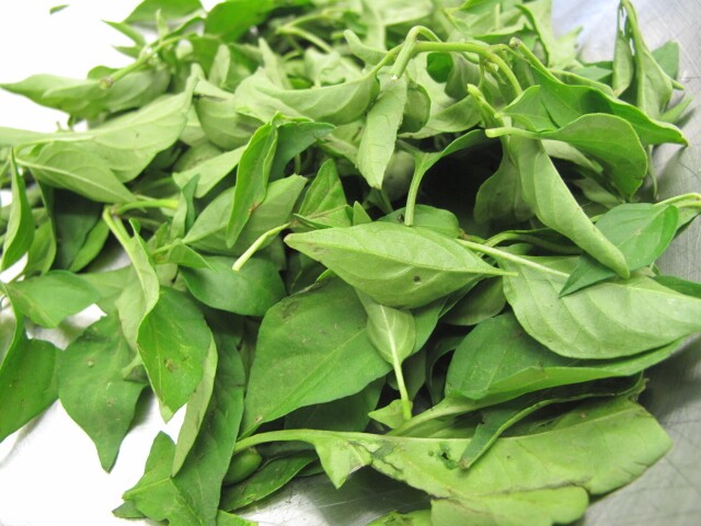 Lá này canxi gấp 2 lần sữa, giúp thanh nhiệt, giải độc còn dưỡng gan, nấu canh cực ngon mà chẳng phải ai cũng biết - 2