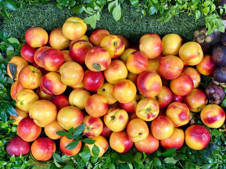 Loại quả được đánh giá amp;#34;tốt nhất thế giớiamp;#34;, trồng nhiều ở miền núi phía Bắc, tốt cho tim mạch, đem ngâm nước uống cực đã ngày hè - 2