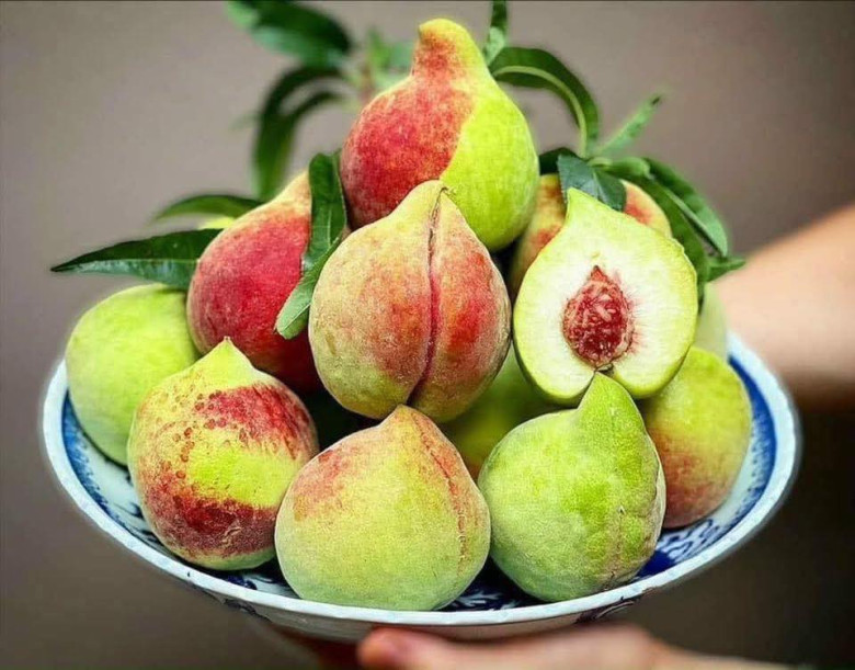 Loại quả được đánh giá amp;#34;tốt nhất thế giớiamp;#34;, trồng nhiều ở miền núi phía Bắc, tốt cho tim mạch, đem ngâm nước uống cực đã ngày hè - 1