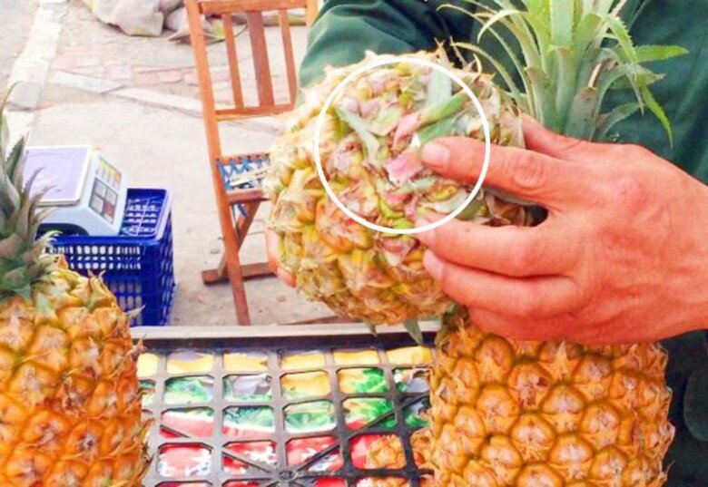 Mua dứa, lấy quả to hay nhỏ thì ngon ngọt, nhiều người không biết nên chọn sai, bảo sao dứa chua khó ăn - 3