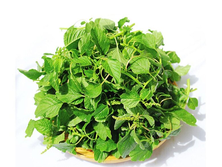 Mùa hè, loại rau này nên ăn thật nhiều, vừa thanh nhiệt trừ ẩm, lại bổ sung canxi, tăng cường hệ miễn dịch, nấu canh rất ngon - 1