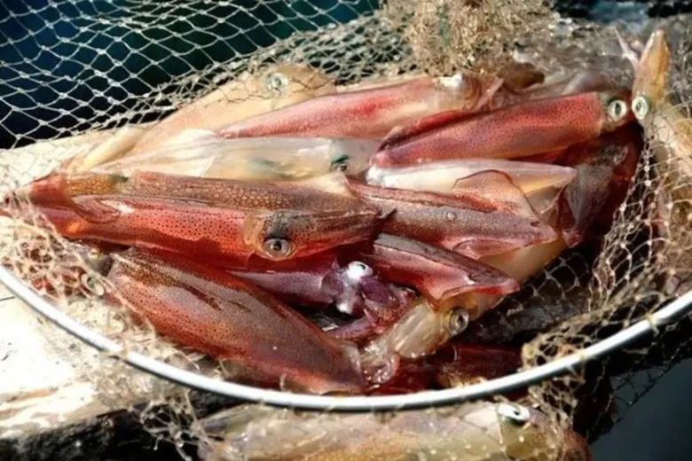 Muốn mực luộc giòn ngon, căng mọng, không bị dai khô, nhớ phải làm ngay điều này - 2