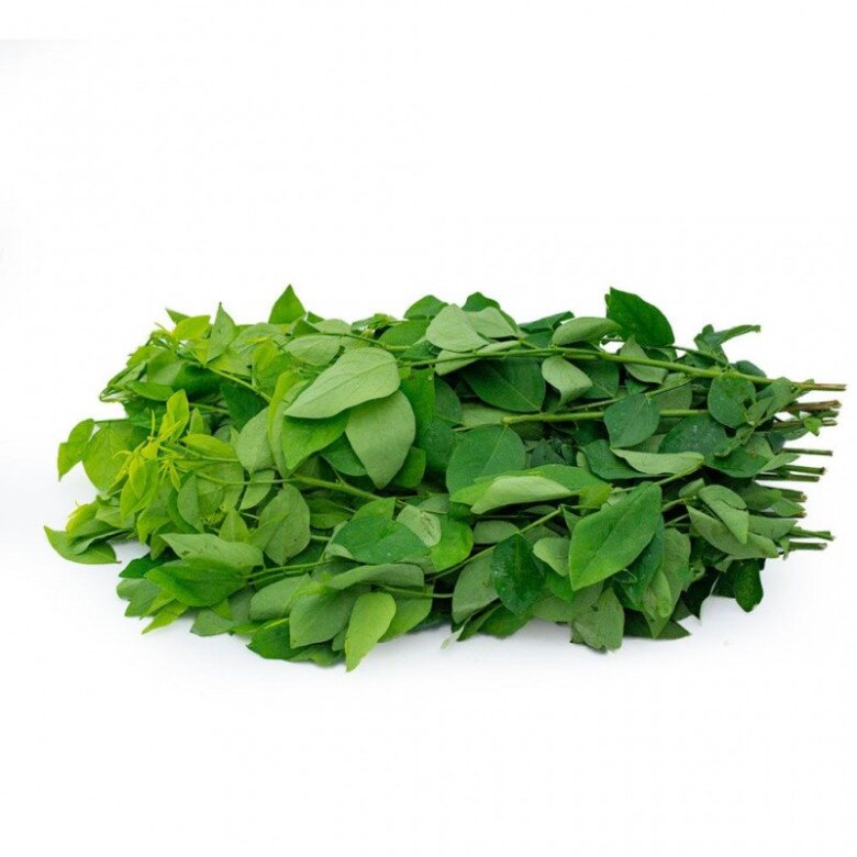 Cây này chỉ ăn lá, vitamin C gấp 45 lần rau thường, nấu canh hay luộc đều rất mát, mùa hè ai cũng thích - 1
