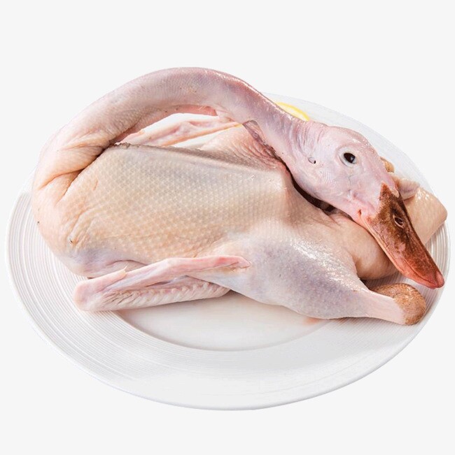 Thịt này “mát như kem”, thịt lợn cũng chẳng bổ bằng, mùa hè ăn nhiều thanh nhiệt, bổ thận, nấu món nào cũng ngon - 1