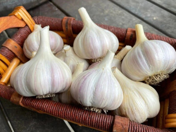 Tỏi bán đầy chợ nhưng có 4 củ này đừng mua rất phí tiền, biết rồi nhớ báo mọi người cùng biết nhé!