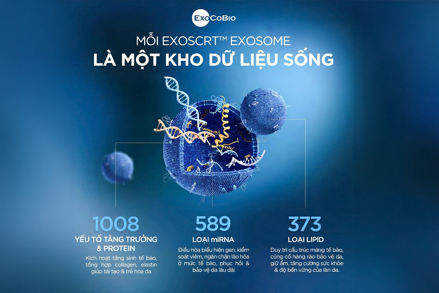 Exosome có hàm lượng cao, chất lượng tốt mới có thể mang lại hiệu quả vượt trội cho sản phẩm