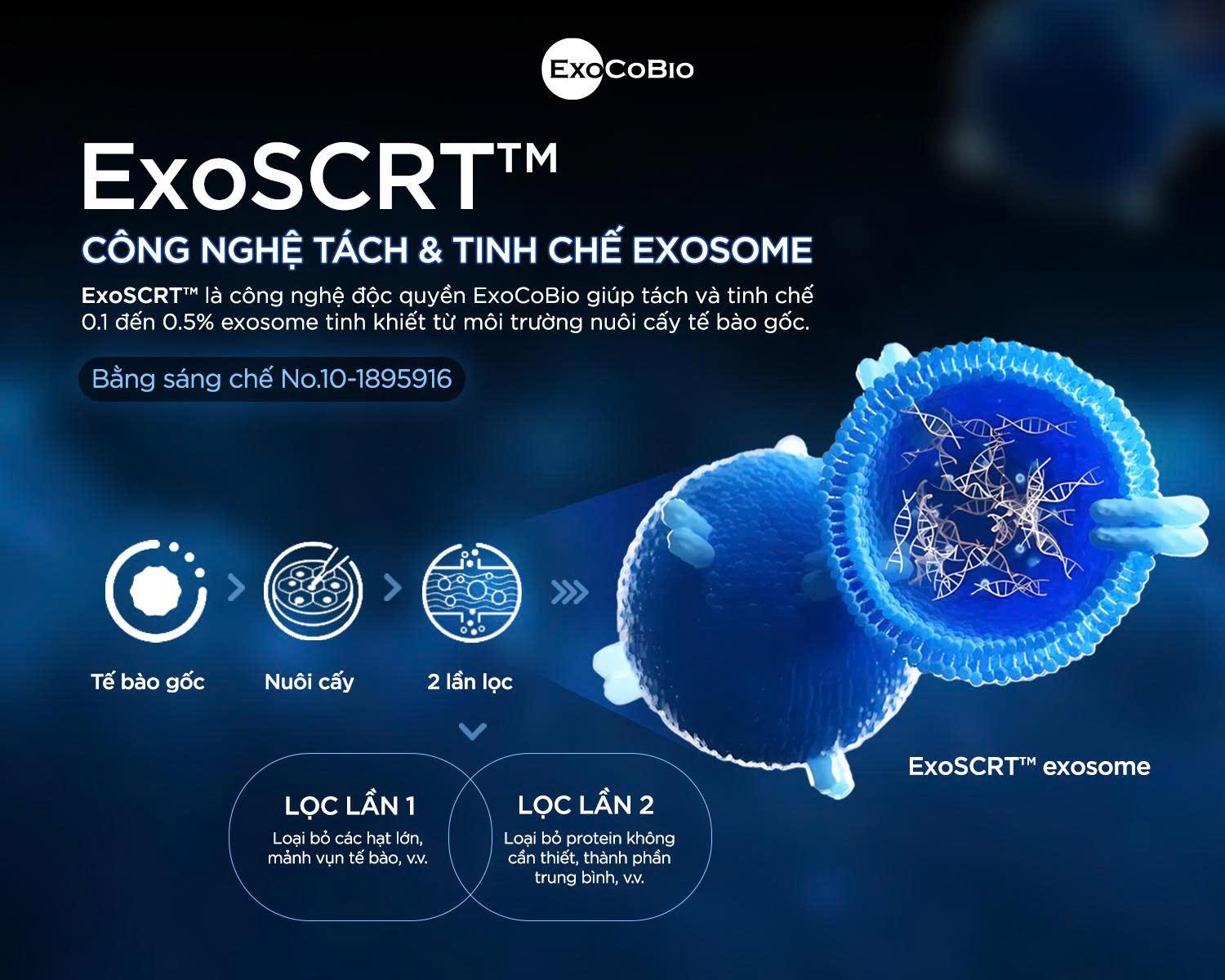 Công nghệ tách và tinh chế có thể quyết định chất lượng và độ tinh khiết của Exosome