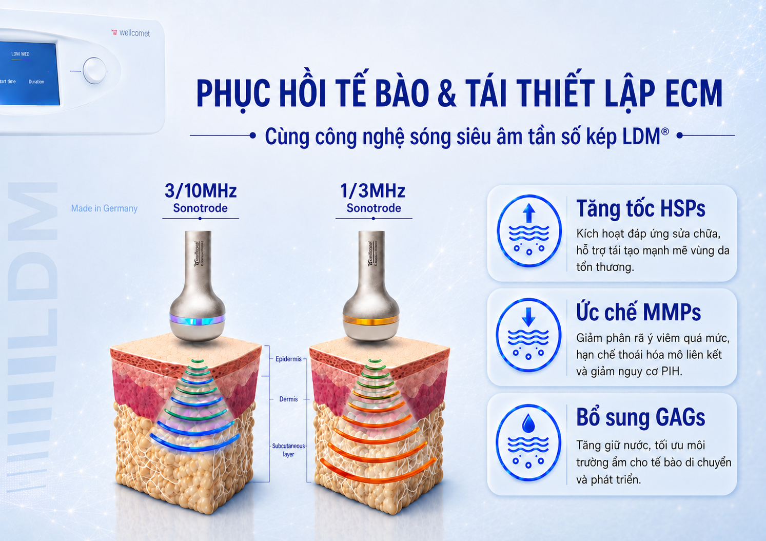 Công nghệ LDM® hỗ trợ phục hồi tế bào, tái thiết lập ECM và củng cố nền da sau điều trị nám.