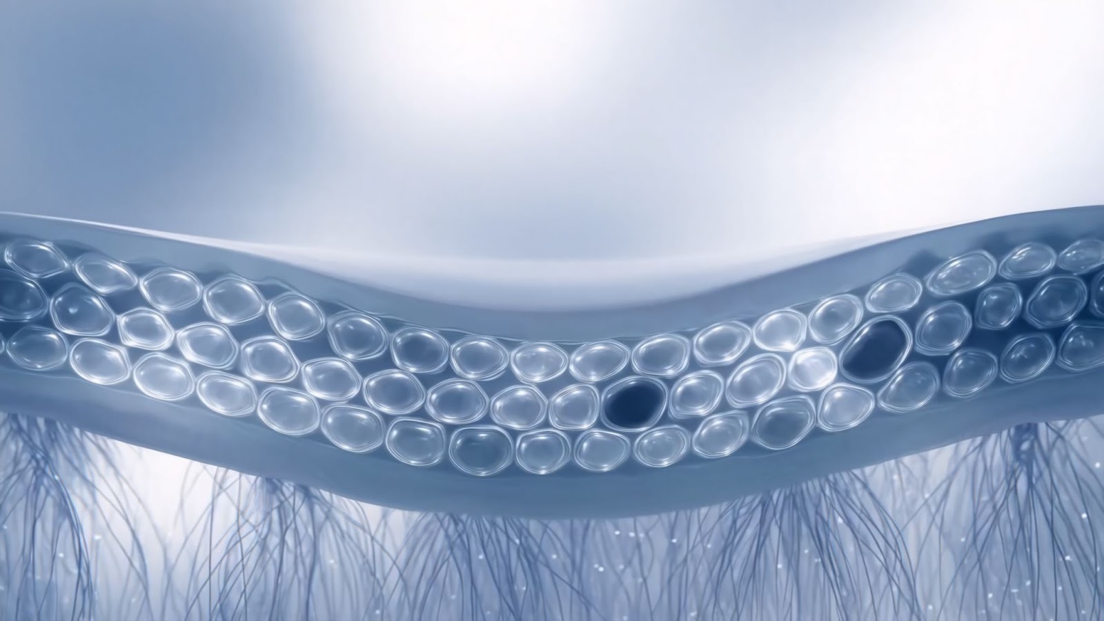 Làn da có thể mịn màng bên ngoài, nhưng sức khỏe thật sự của da được quyết định bởi hoạt động và cấu trúc tế bào bên trong