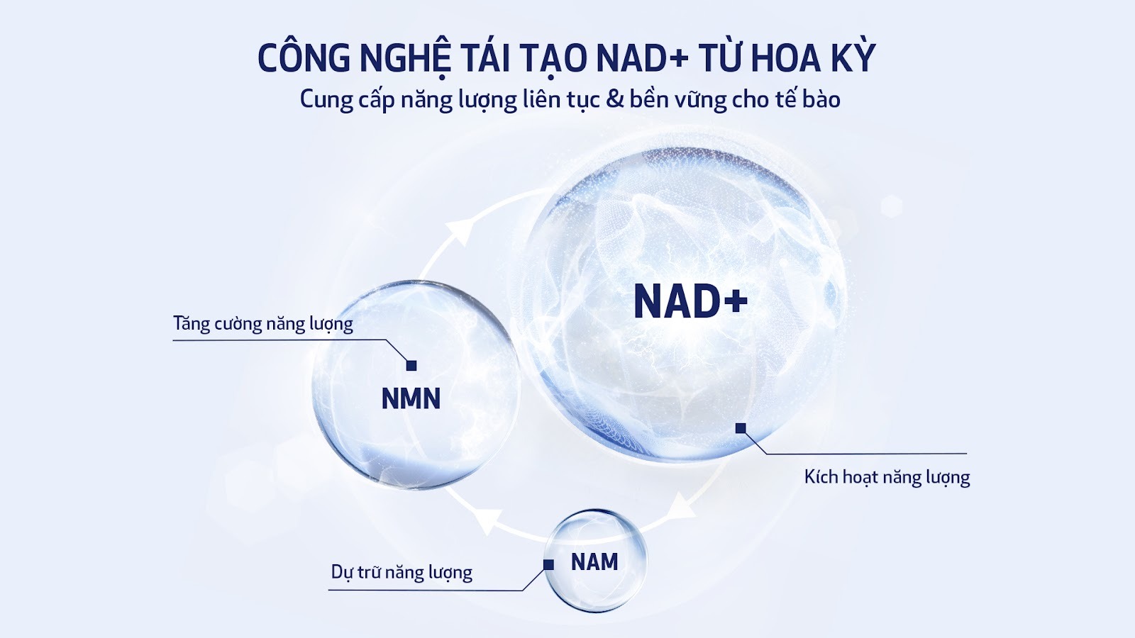 Công nghệ tái tạo NAD+ độc quyền từ Hoa Kỳ