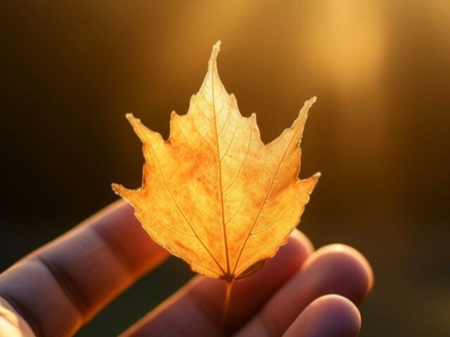 3 kiểu người "đẳng cấp" đứng sau những trang cá nhân trống trơn: Không phải cố ẩn mình, mà bởi nội tâm quá vững vàng