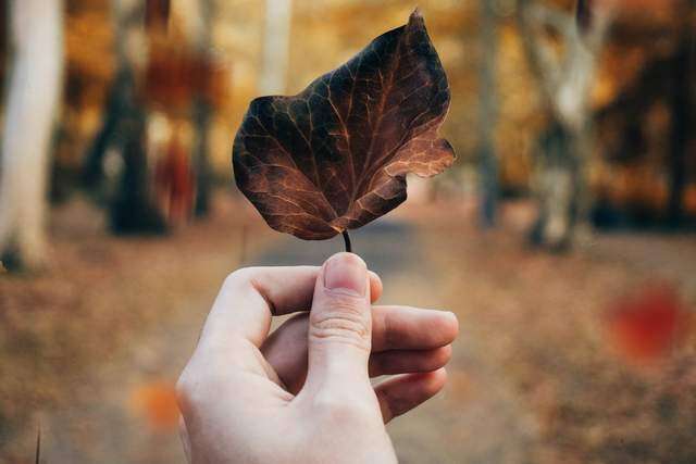 3 kiểu người amp;#34;đẳng cấpamp;#34; đứng sau những trang cá nhân trống trơn: Không phải cố ẩn mình, mà bởi nội tâm quá vững vàng - 2